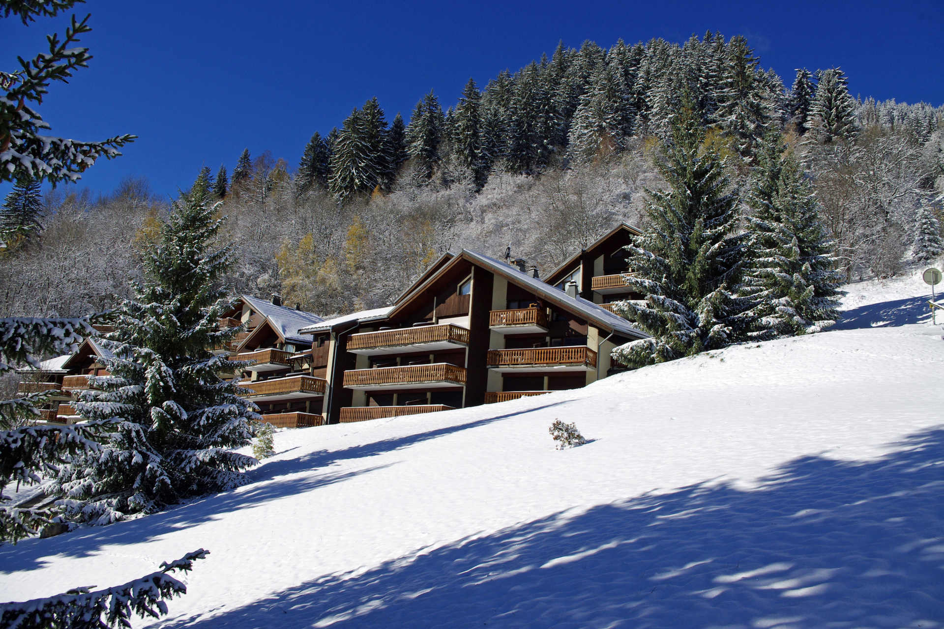 Studio - Résidence BRUYÈRES - LES HAUTS DE PLANCHAMP - ref CHPB003 - 8