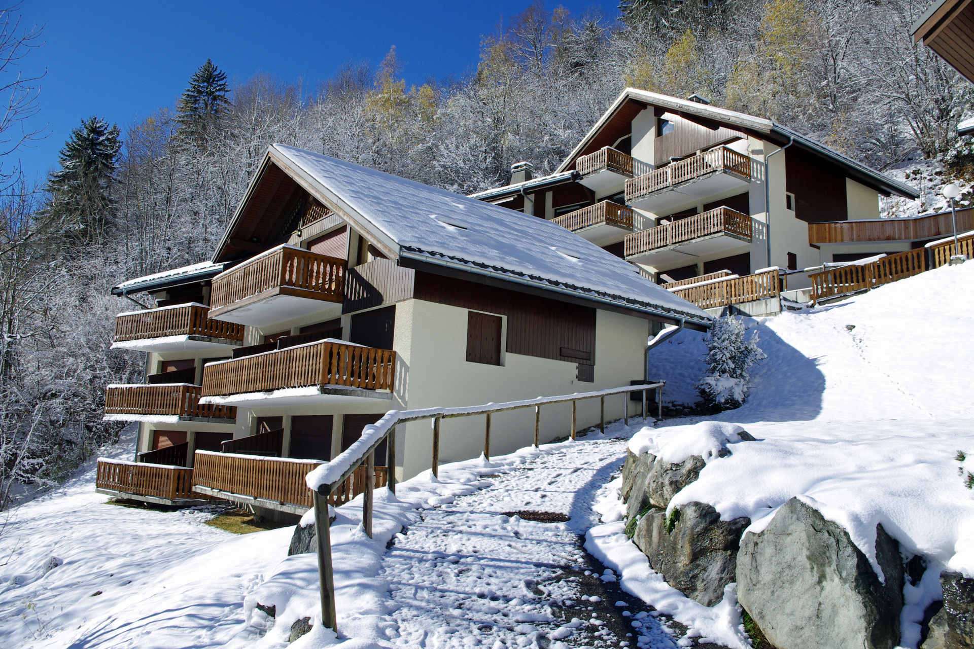 Studio - Résidence DRYADES - LES HAUTS DE PLANCHAMP - ref CHPD12B - 13